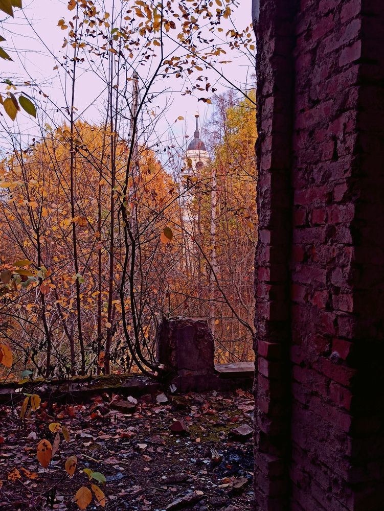 Photograph by Елена Копейкина