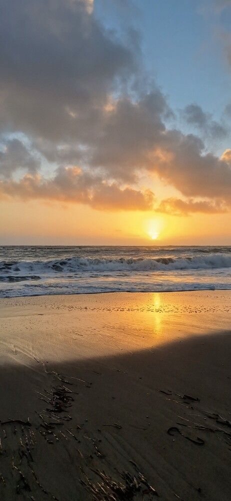 The Gilded Tide