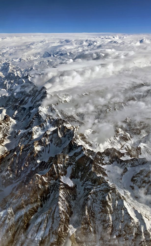 Photo #13555051