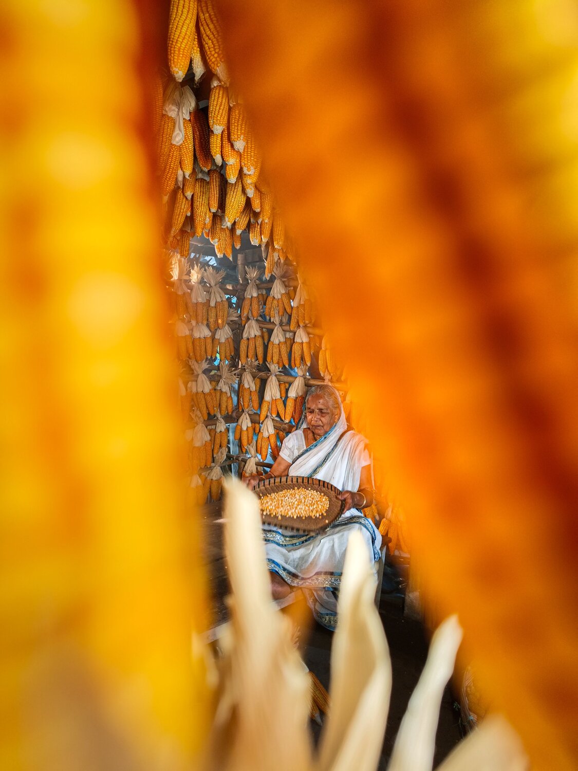 Photo #13555080
