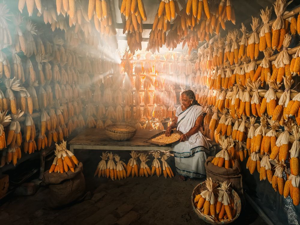 Photograph by Monojit Dutta