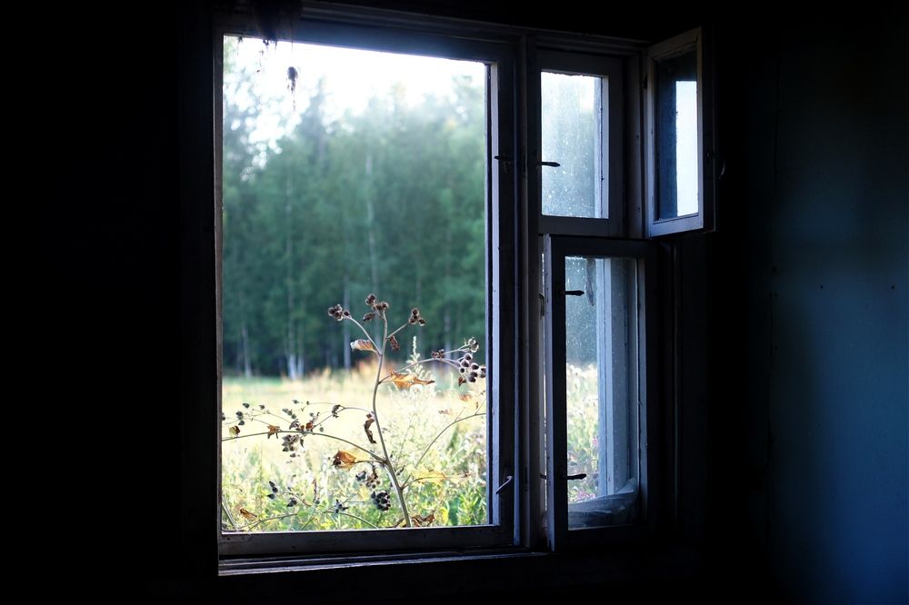 Photograph by Анастасия Брус