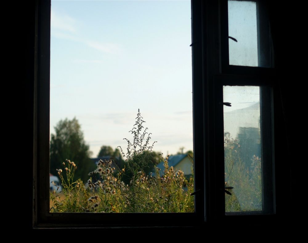Photograph by Анастасия Брус