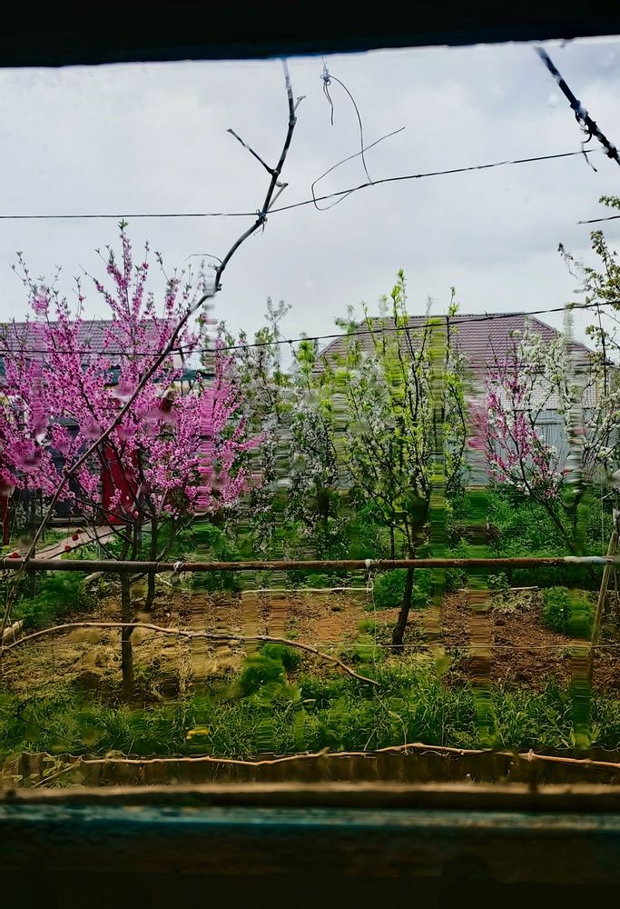 Photograph by Ульяна Кузьмина