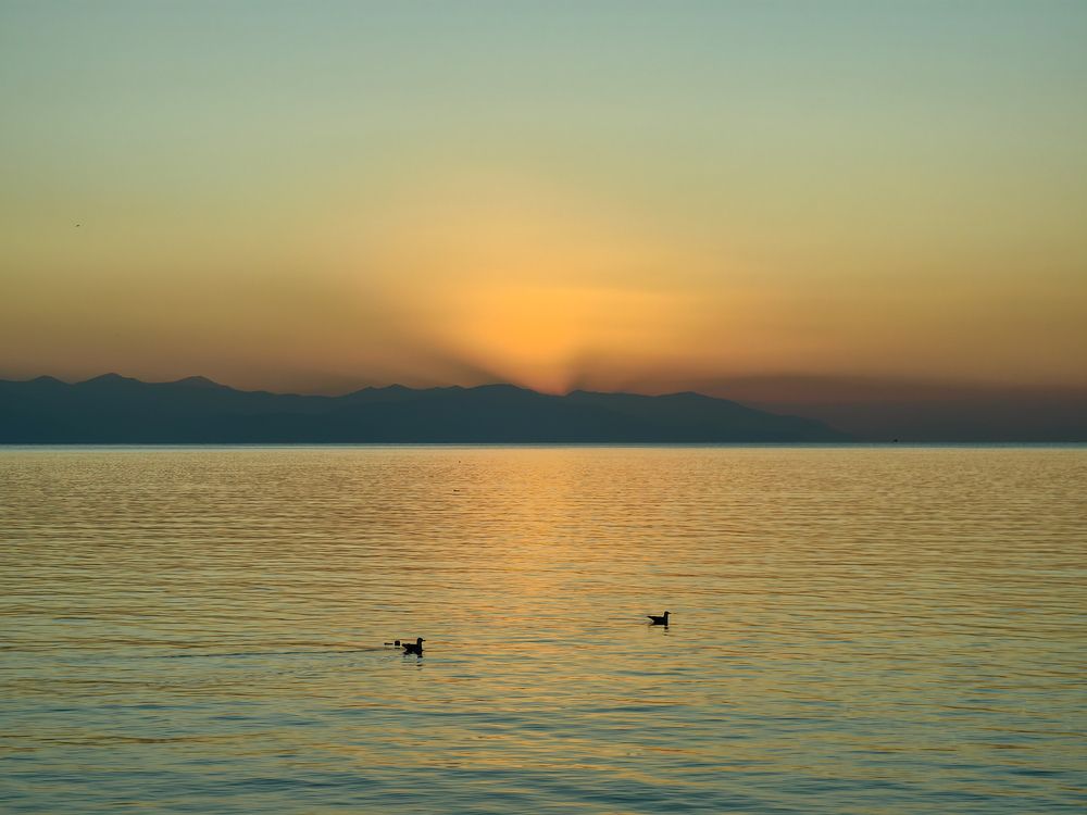 Photograph by Татьяна Котова
