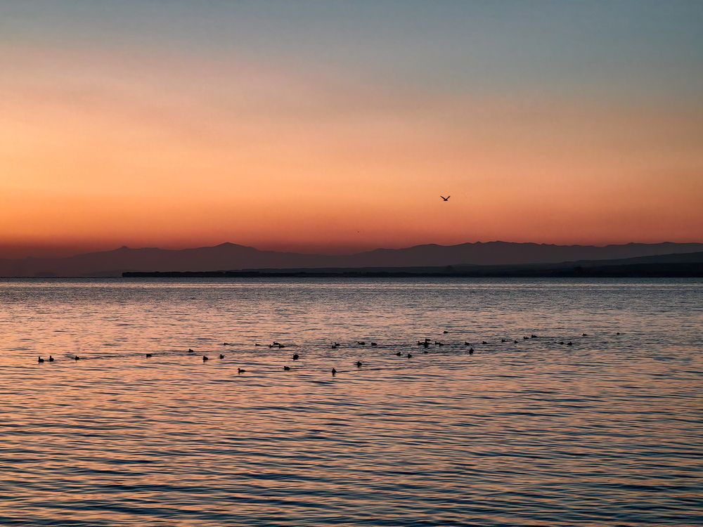 Photograph by Татьяна Котова