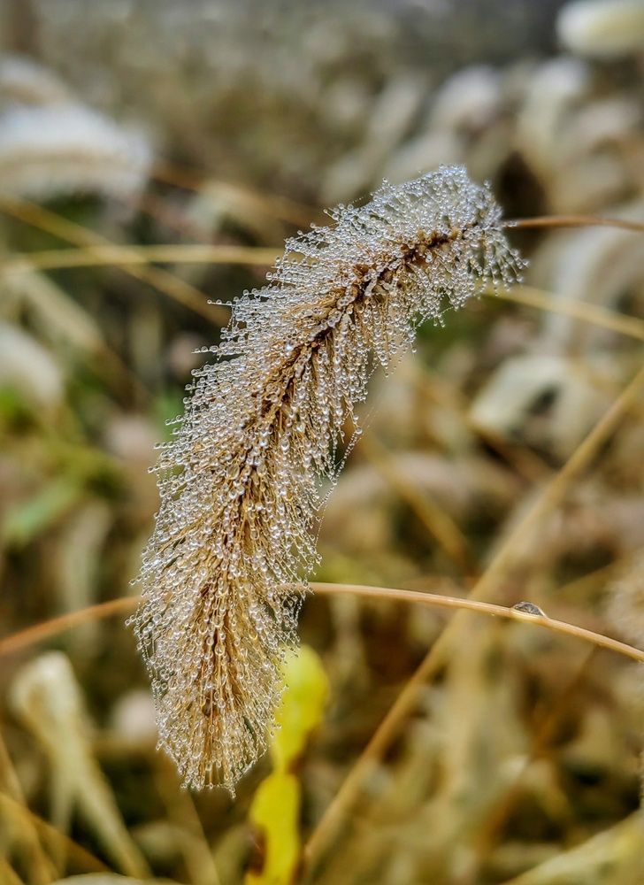Photograph by Ульяна Кузьмина