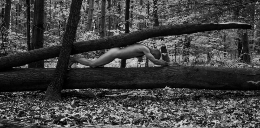 Фотография автора Milan Junek