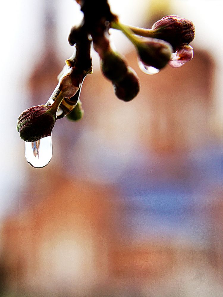 Photograph by Алексей Коношонкин