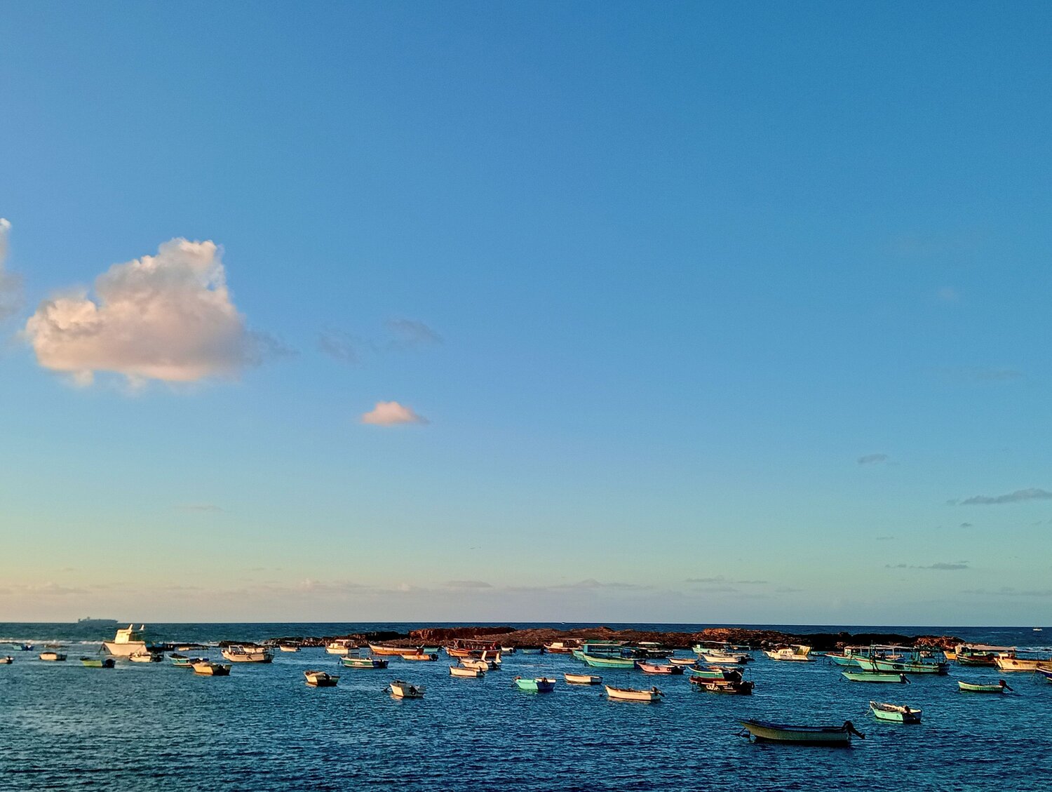 Photo #13555307