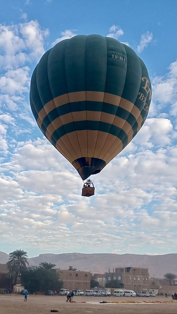 Photo #13555324