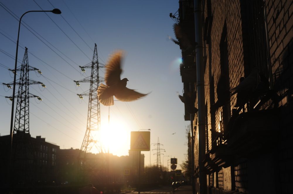 Photograph by Сергей Устинов