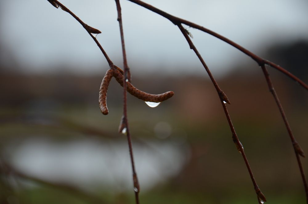 Photograph by Николай Дмитриев