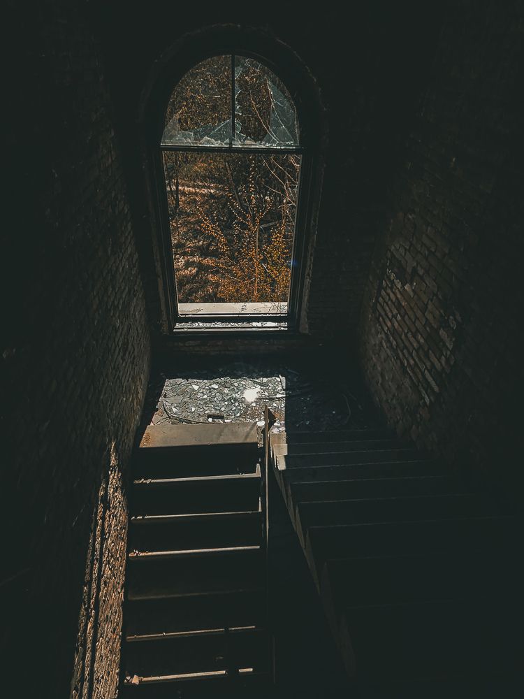 Фотография автора Дайана