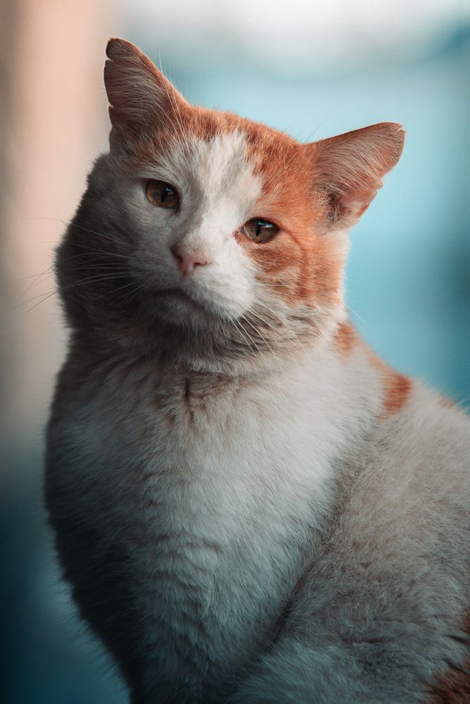Photograph by Игорь Медведев