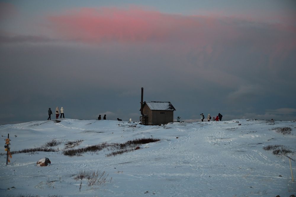 Photograph by Елена Шишкина