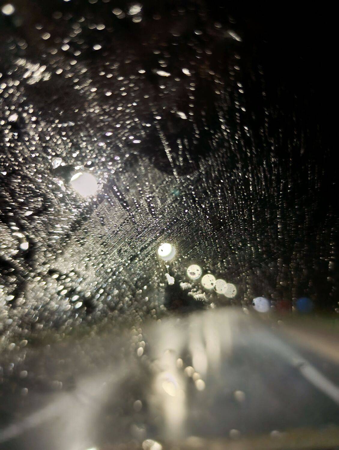 Photo #13555719