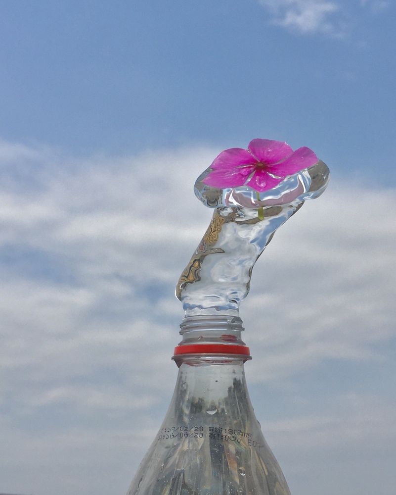 Photograph by Washiful Majid