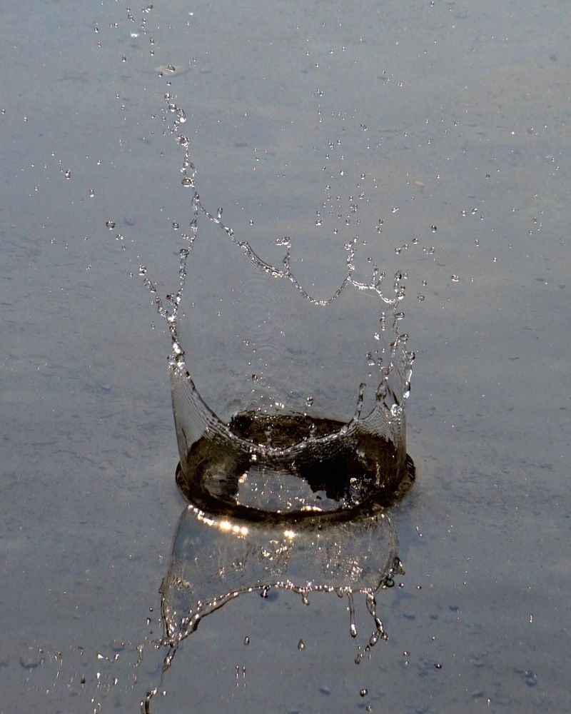 Photograph by Washiful Majid