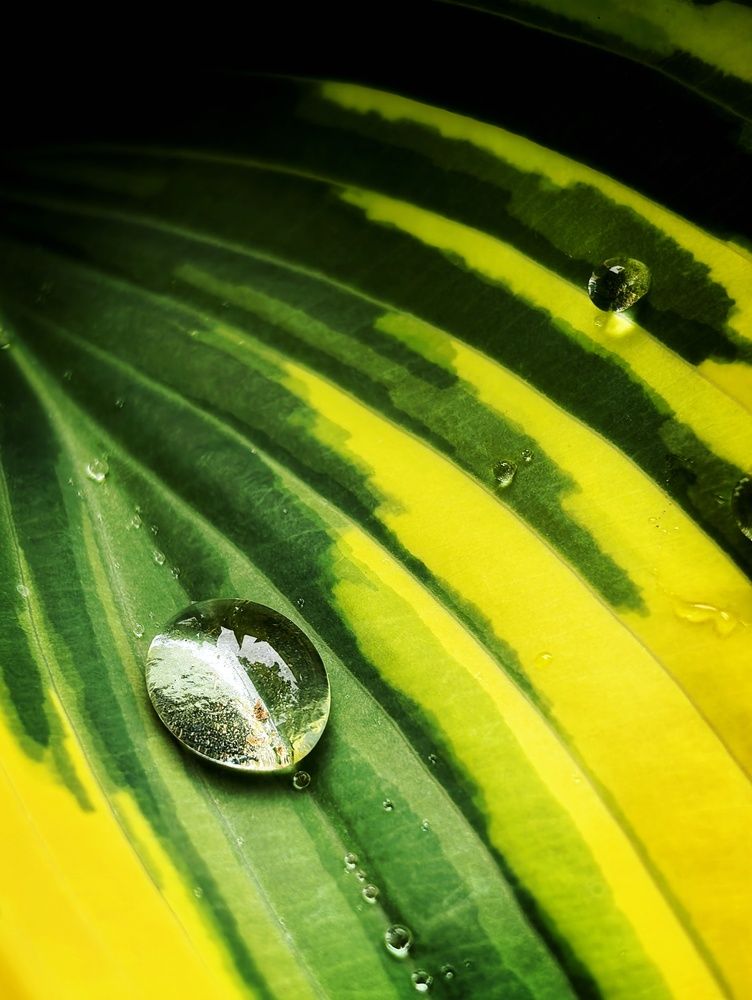 Photograph by Анна Якубинас