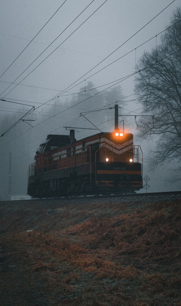 Photograph by Геннадий Ломеко