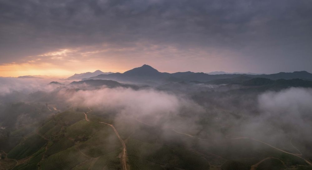 Photograph by Anh Tuấn Trần