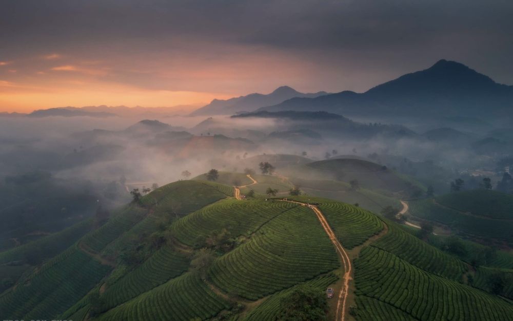 Photograph by Anh Tuấn Trần