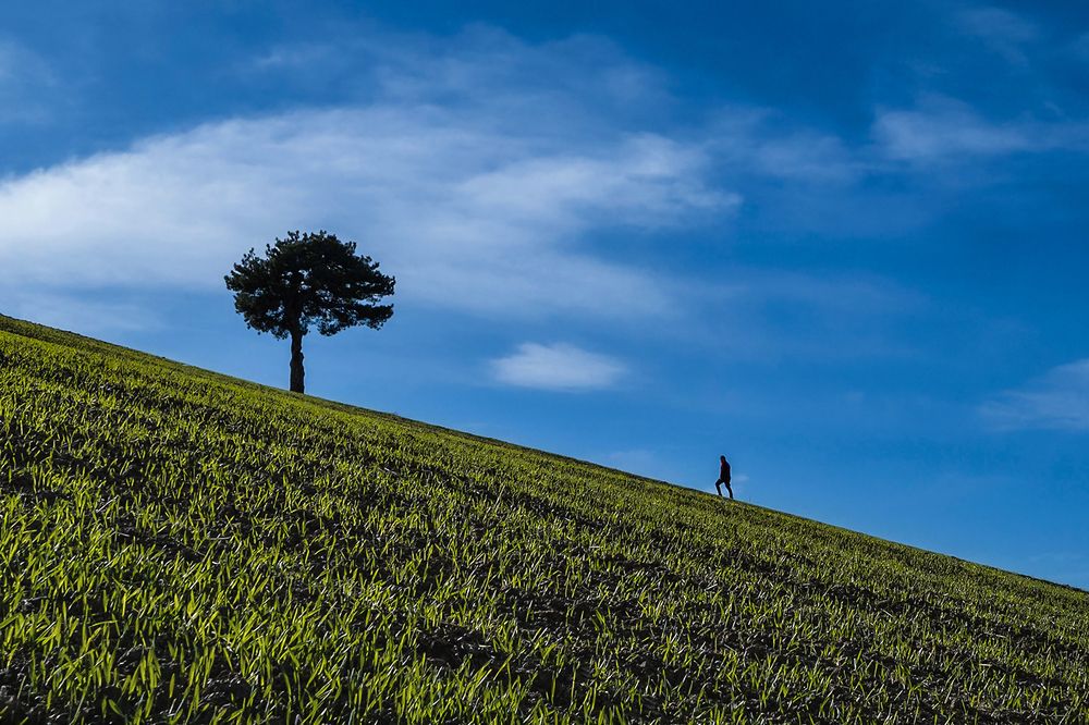 Photograph by Ömer Sarıtas