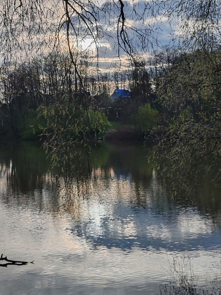 Photograph by Светлана Васильева