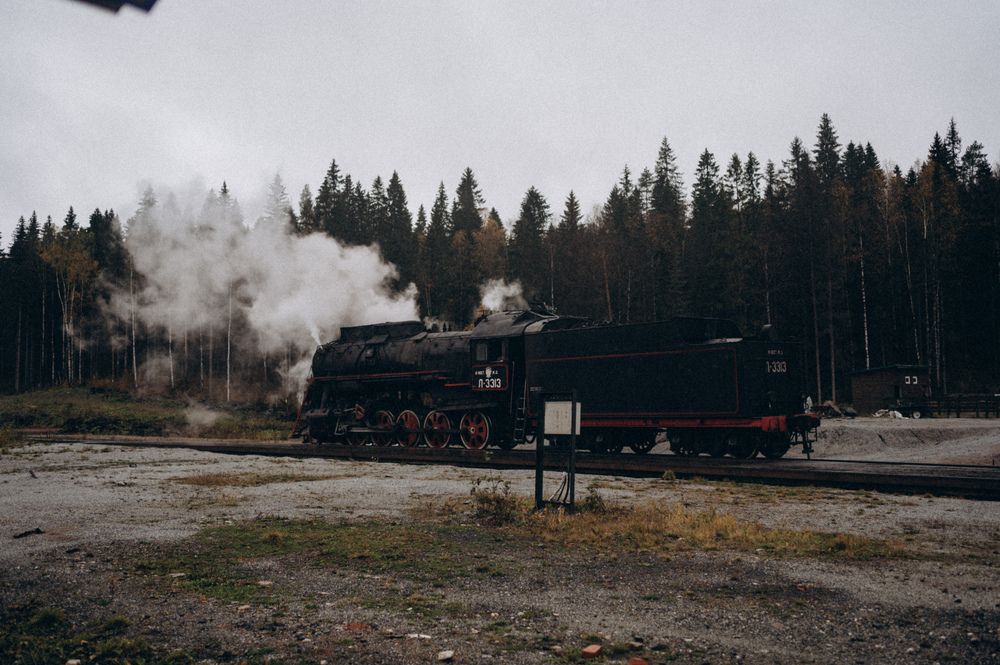 Photo #13556429