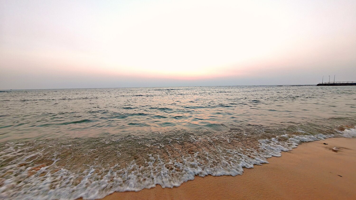 Photo #13556457