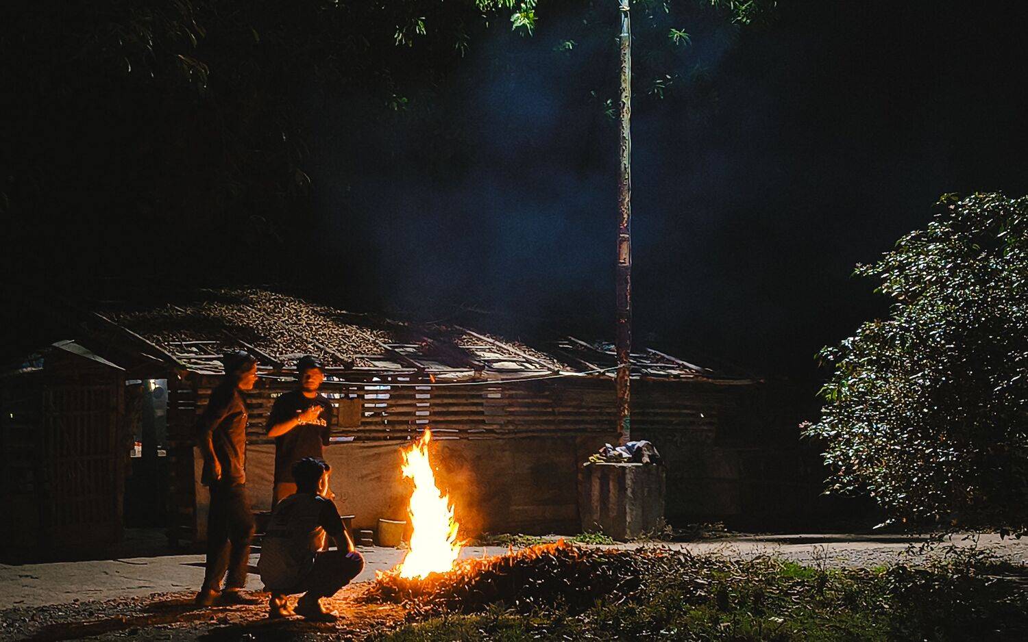Photo #13556509