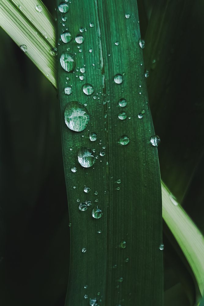 Photograph by Oxana Petlina