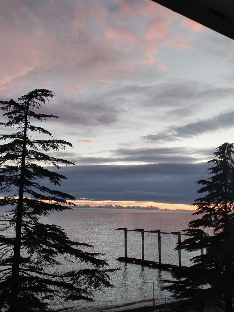 Photo #13556759