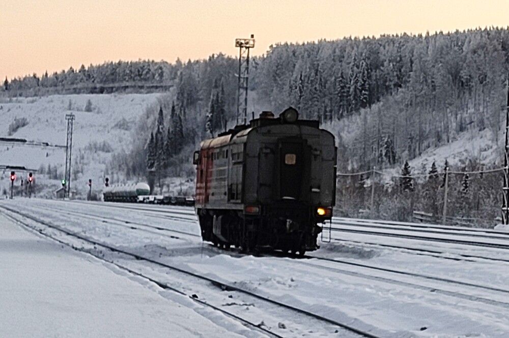 Фотография автора Николай Горбачёв