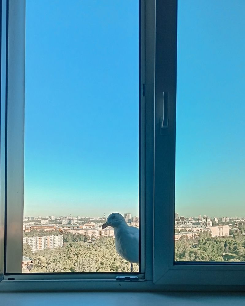 Photograph by Людмила Горячева