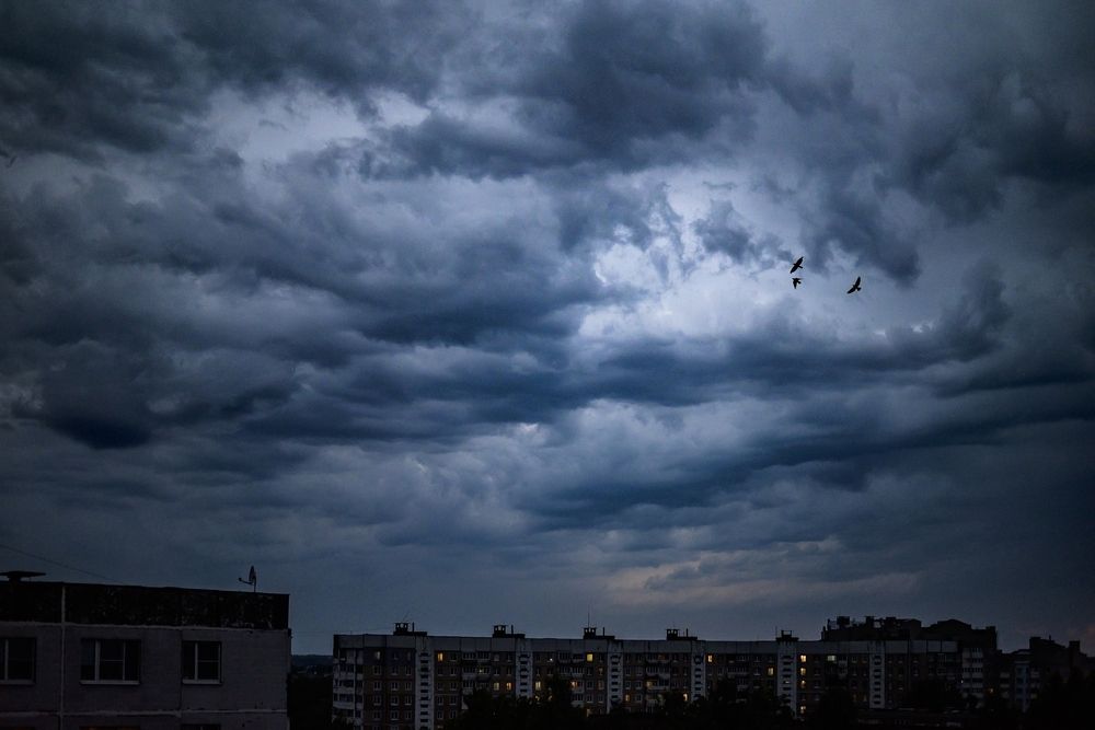 Photograph by Екатерина Свиридова