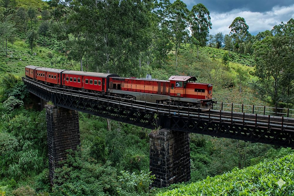 Photograph by Dananjaya Chathuranga