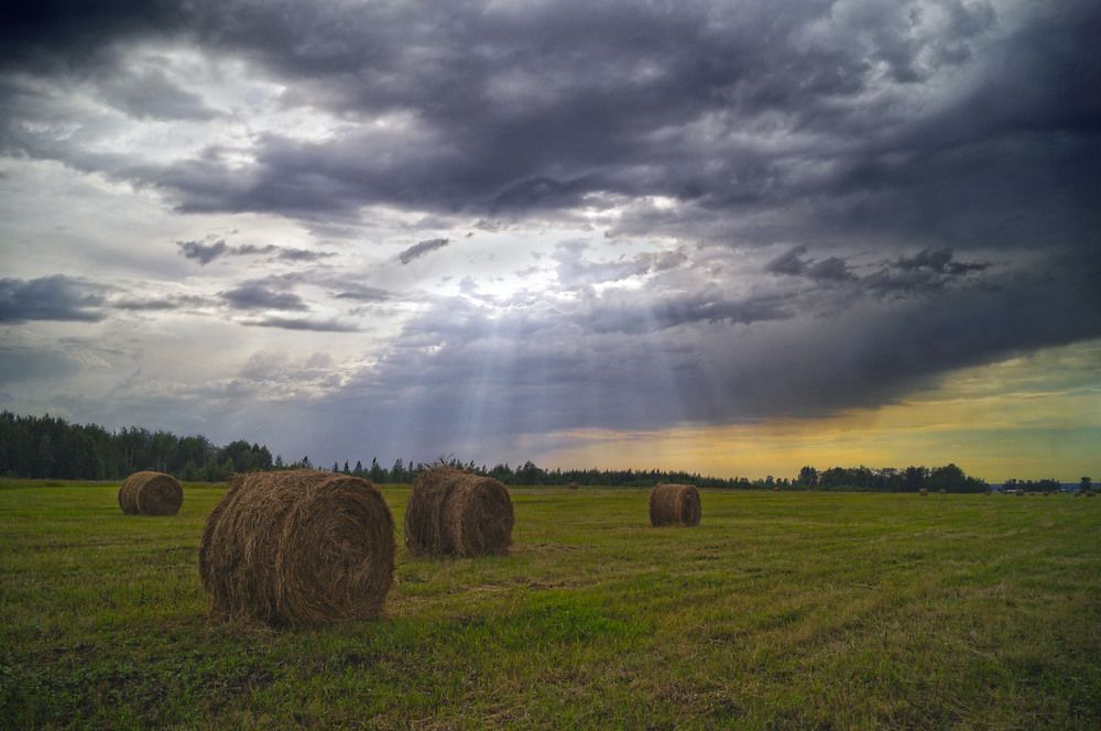 Photograph by Татьяна Мишустина