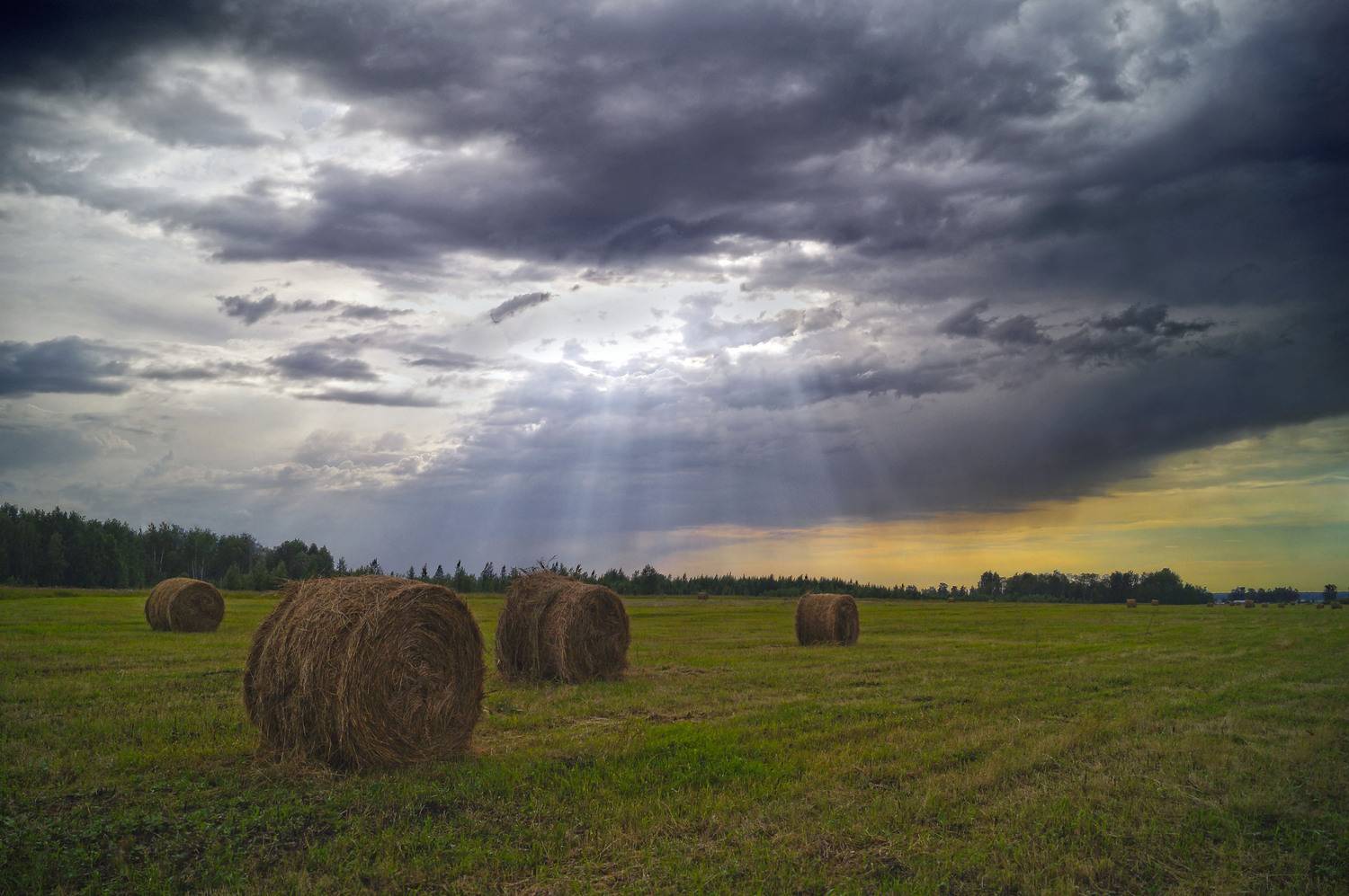 Photo #13557438