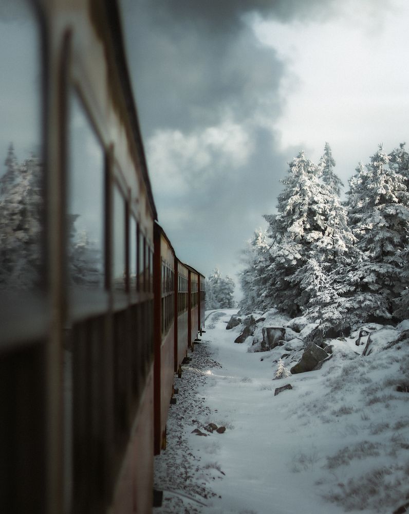 Photograph by Max Justh