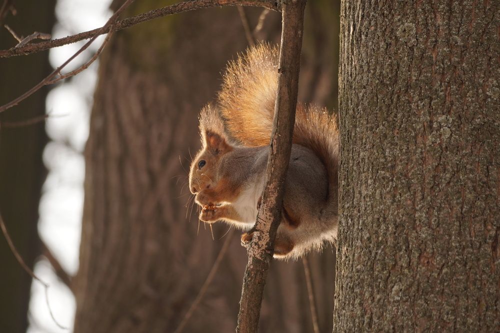 Photograph by Алфия Бугакова