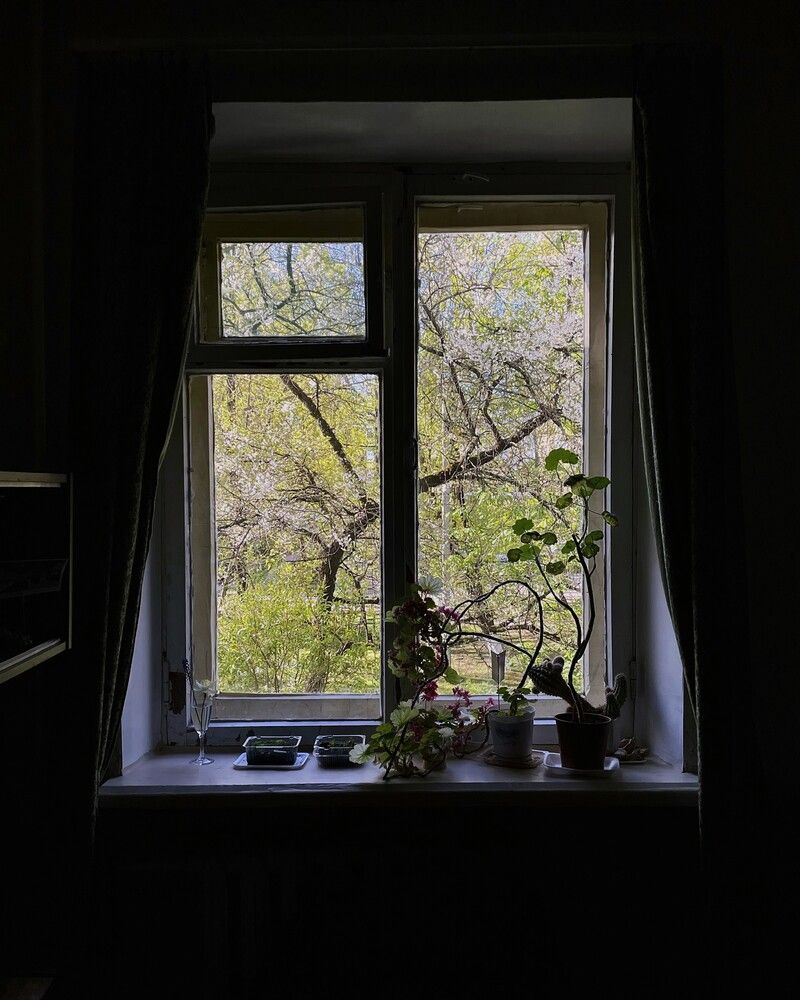 Photograph by Iuliia Akhulkova