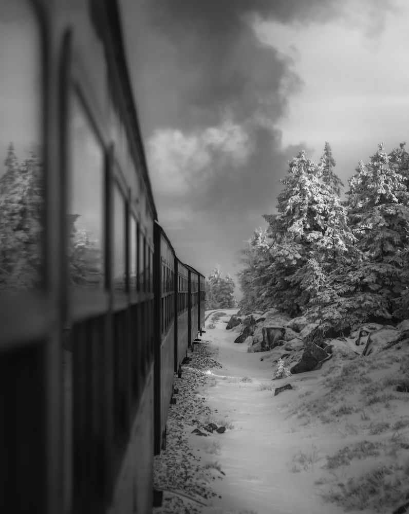 Photograph by Max Justh