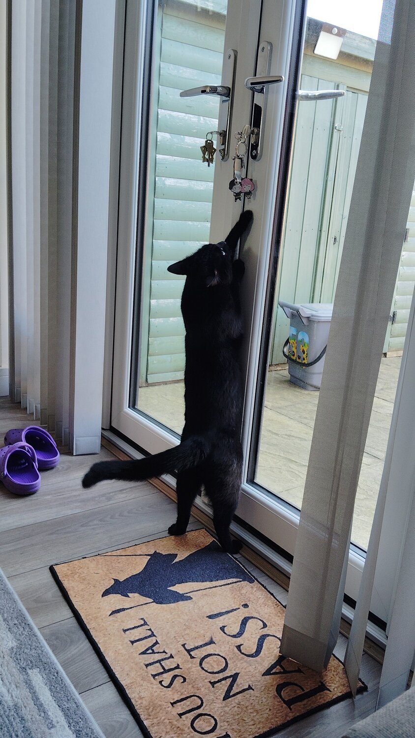Photo #13557572