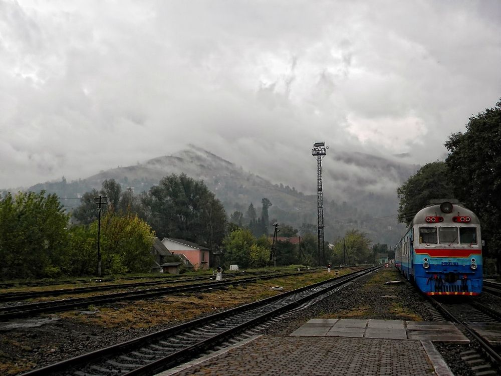Фотография автора Савоцкий Роман