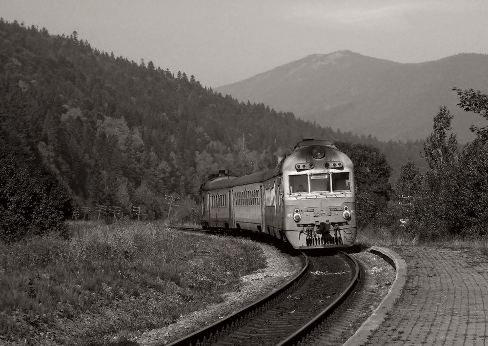Фотография автора Савоцкий Роман