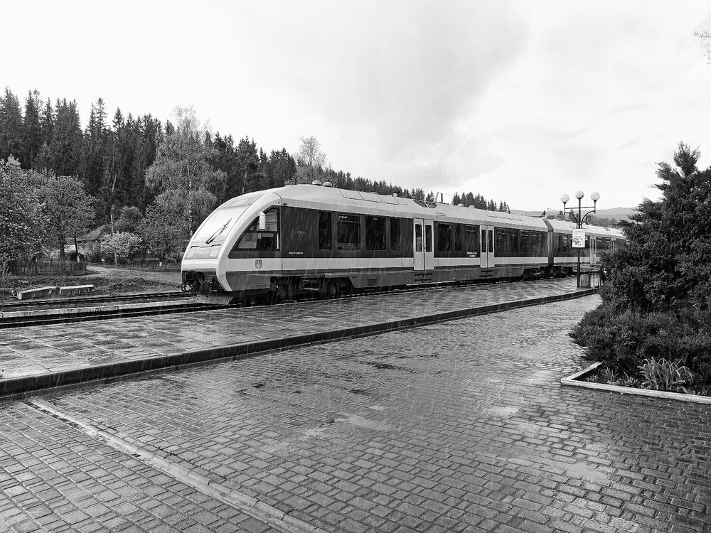 Фотография автора Савоцкий Роман