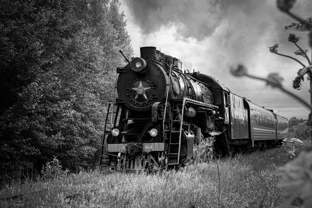 Photograph by Дарья Улюсова