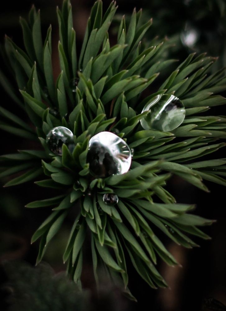 Photograph by Любовь Иванова